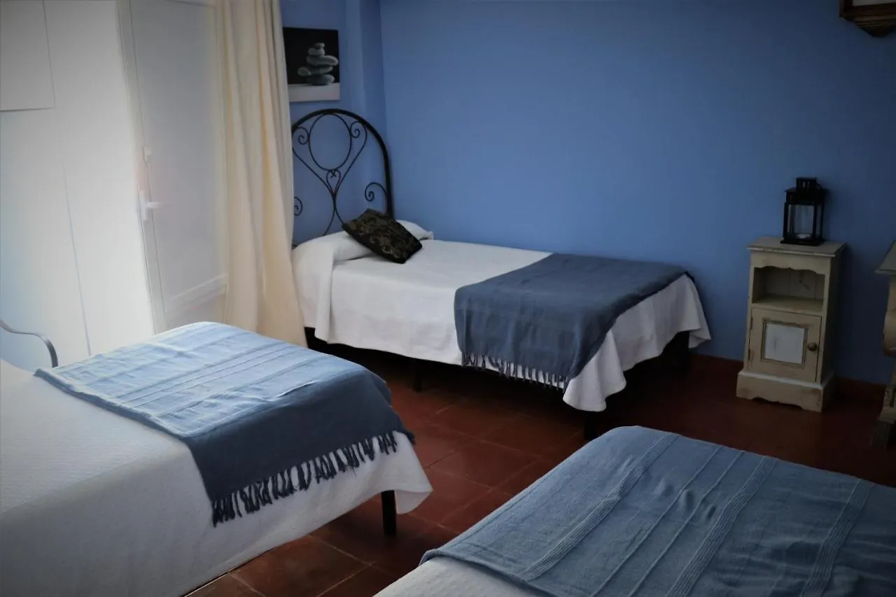Hostal Arco Plaza contacts